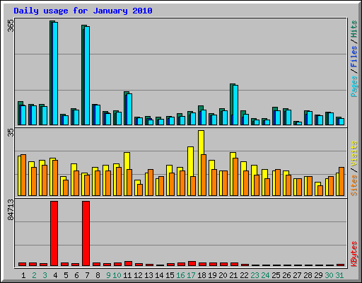 Daily usage for January 2010