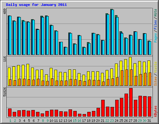 Daily usage for January 2011