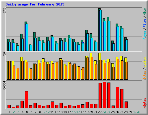 Daily usage for February 2013