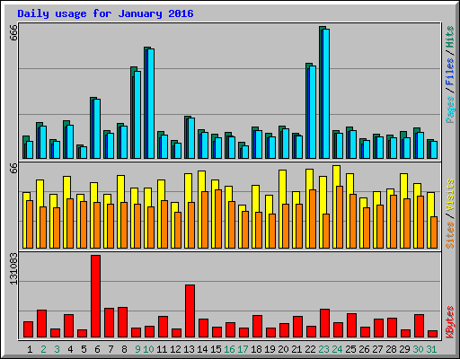 Daily usage for January 2016