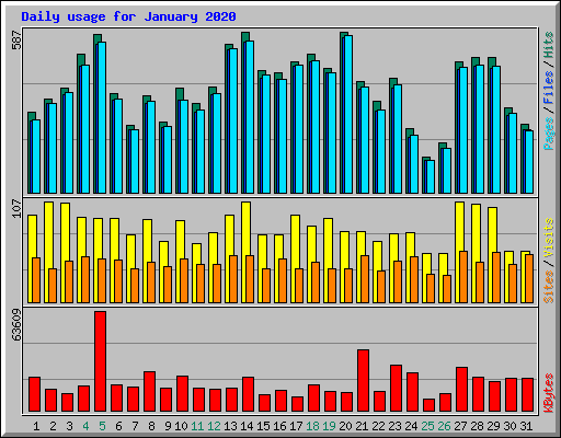 Daily usage for January 2020