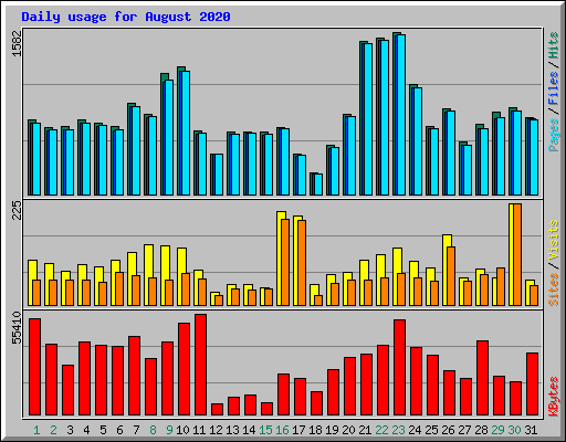 Daily usage for August 2020