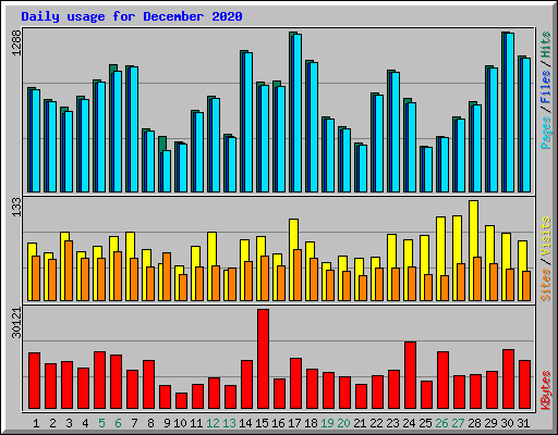 Daily usage for December 2020