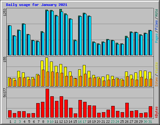 Daily usage for January 2021