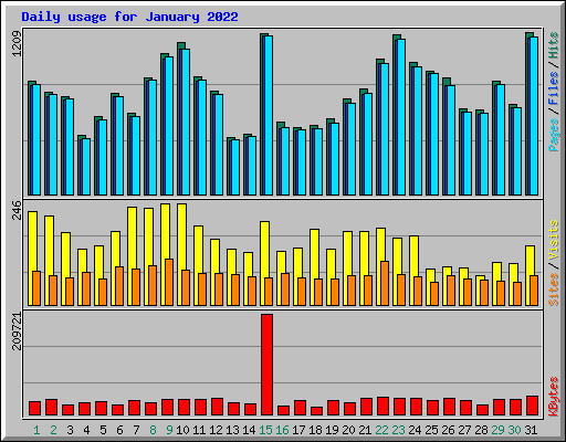 Daily usage for January 2022