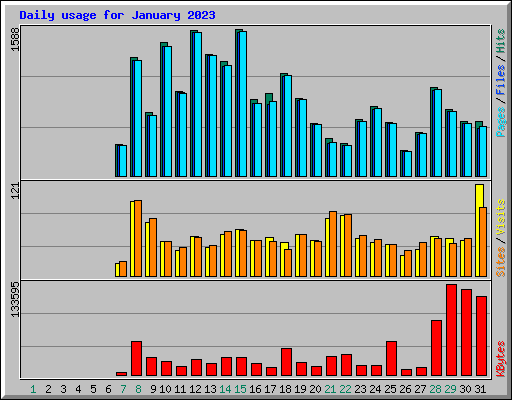 Daily usage for January 2023