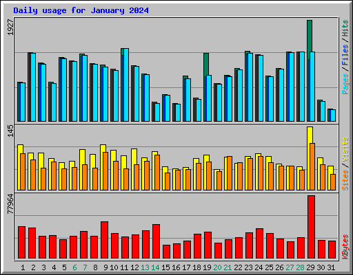 Daily usage for January 2024