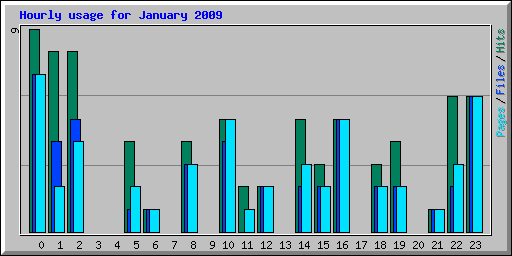 Hourly usage for January 2009