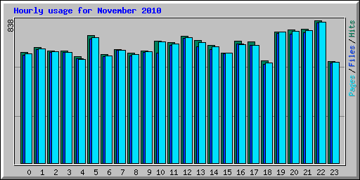 Hourly usage for November 2010