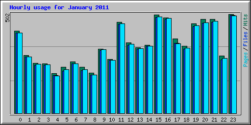 Hourly usage for January 2011