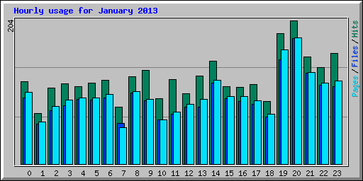 Hourly usage for January 2013