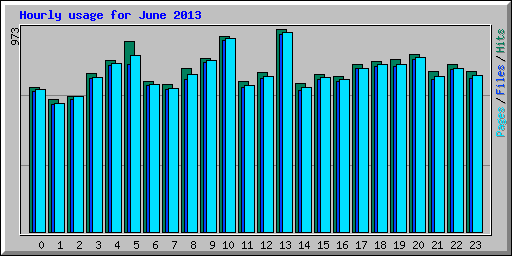 Hourly usage for June 2013