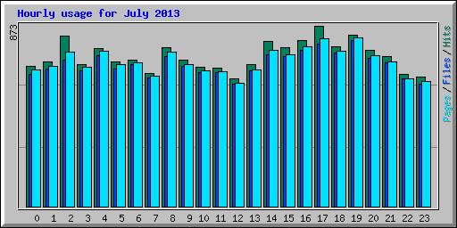 Hourly usage for July 2013