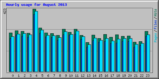 Hourly usage for August 2013