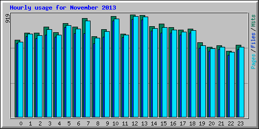 Hourly usage for November 2013