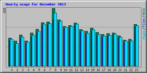 Hourly usage for December 2013