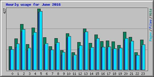 Hourly usage for June 2016