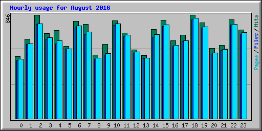 Hourly usage for August 2016