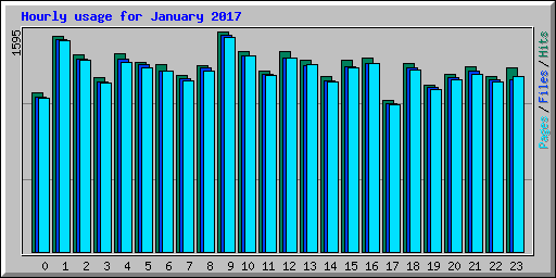 Hourly usage for January 2017