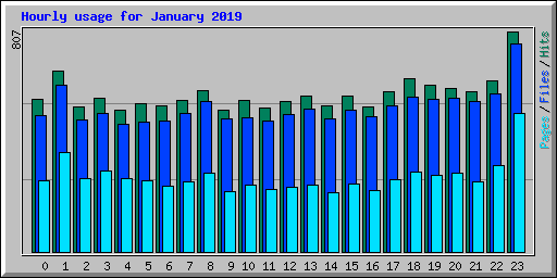 Hourly usage for January 2019