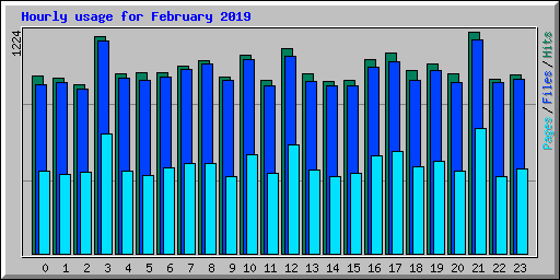 Hourly usage for February 2019