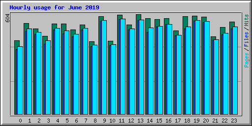 Hourly usage for June 2019