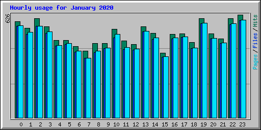 Hourly usage for January 2020