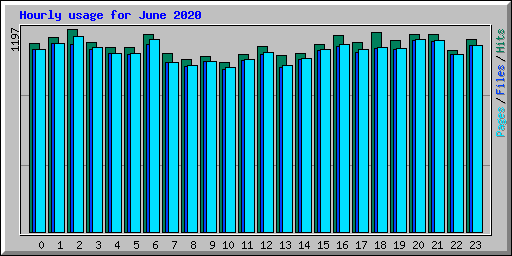 Hourly usage for June 2020