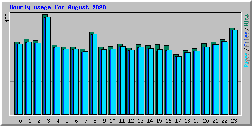 Hourly usage for August 2020