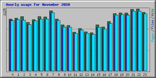 Hourly usage for November 2020