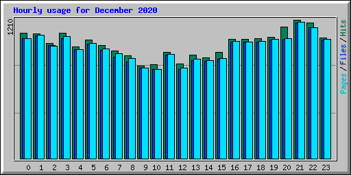 Hourly usage for December 2020