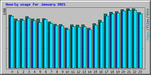 Hourly usage for January 2021