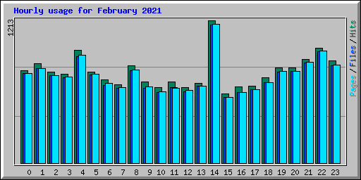 Hourly usage for February 2021