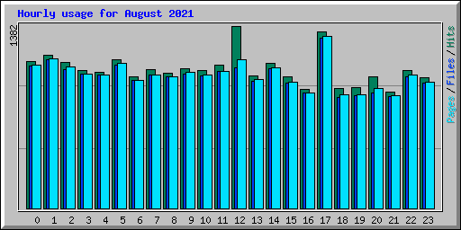 Hourly usage for August 2021