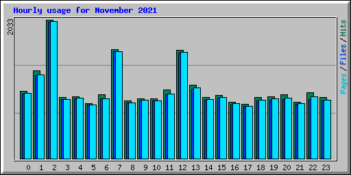 Hourly usage for November 2021