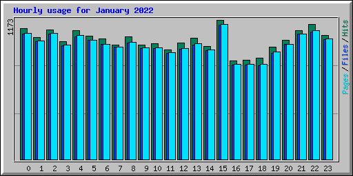 Hourly usage for January 2022