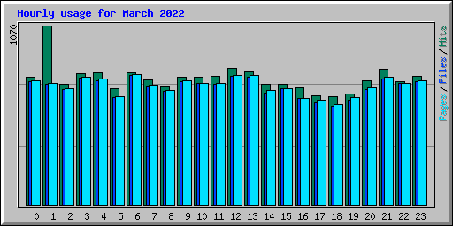 Hourly usage for March 2022