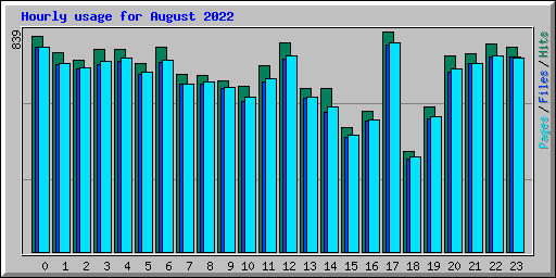 Hourly usage for August 2022