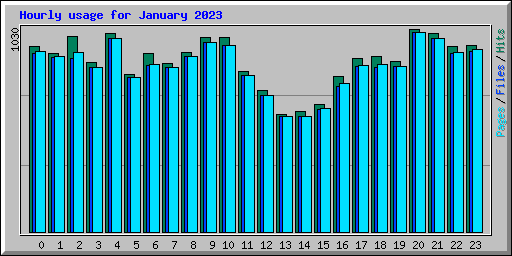 Hourly usage for January 2023