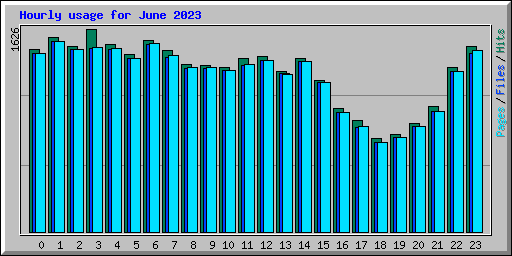 Hourly usage for June 2023