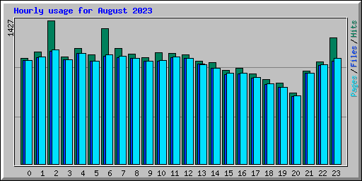 Hourly usage for August 2023