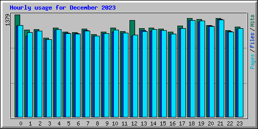 Hourly usage for December 2023