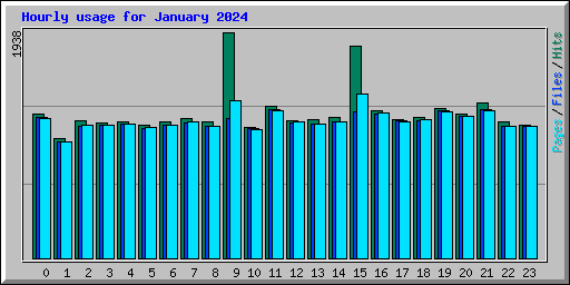 Hourly usage for January 2024