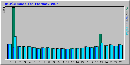 Hourly usage for February 2024