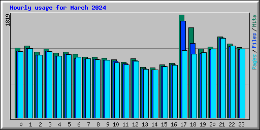 Hourly usage for March 2024