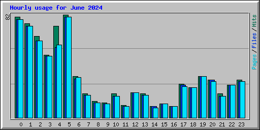 Hourly usage for June 2024