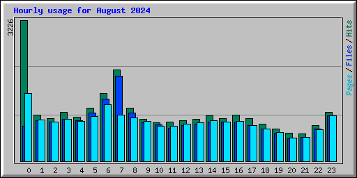 Hourly usage for August 2024